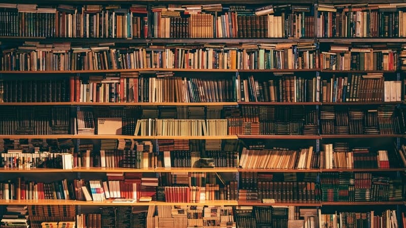 How To Show Intellectual Curiosity on Your Top College Appli